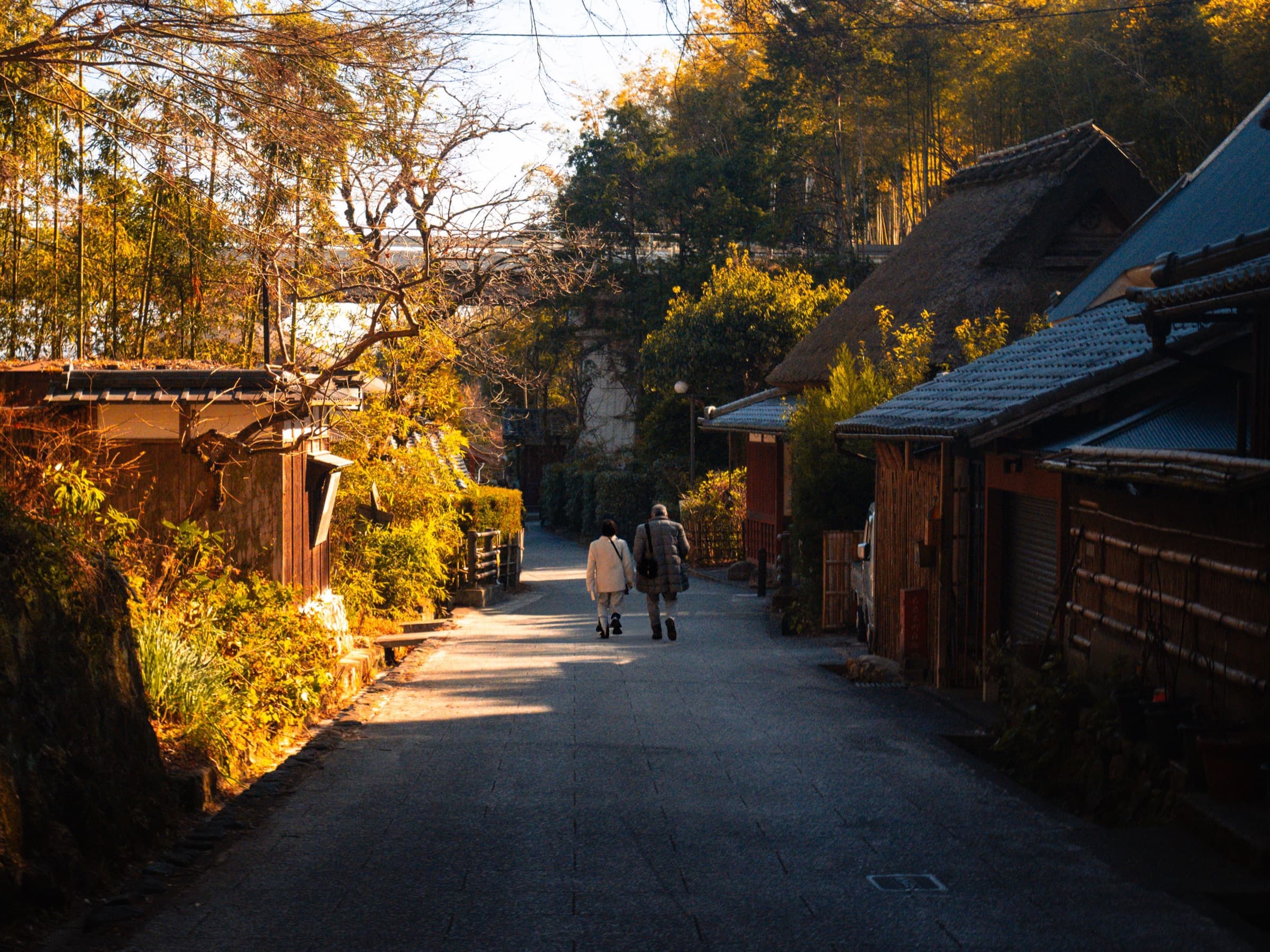 夕暮れの小道を寄り添って歩く二人連れ