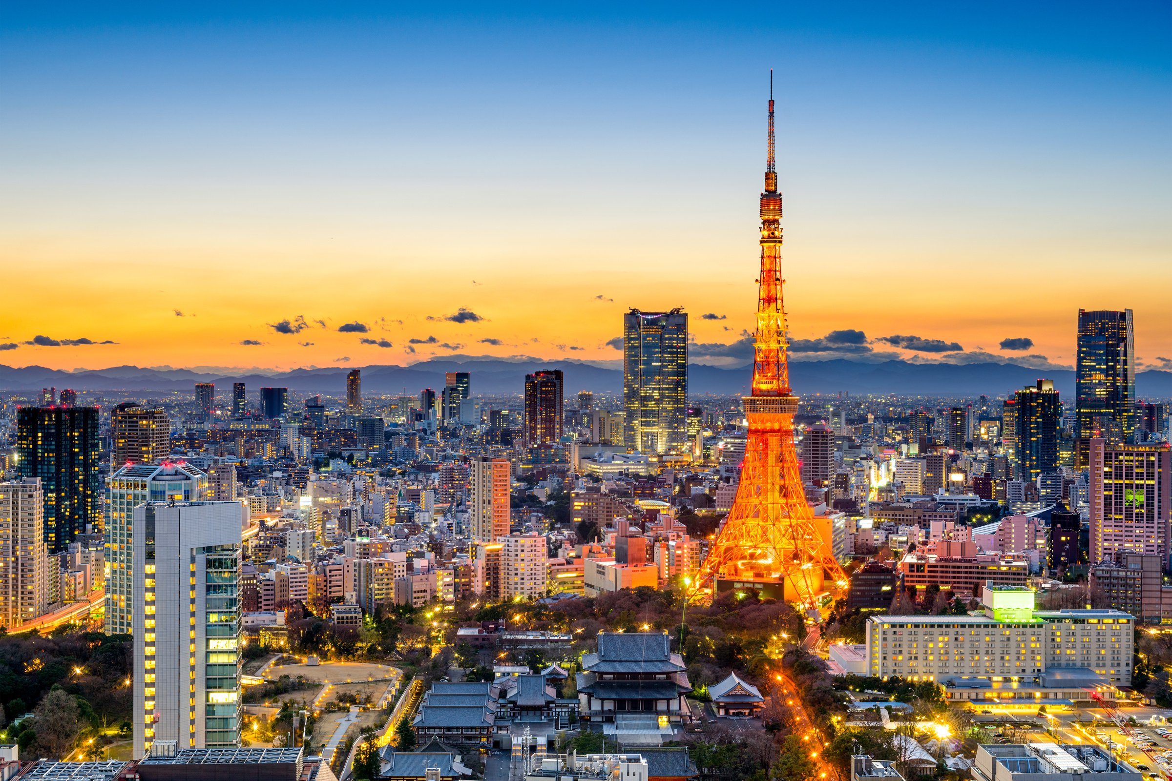 Tokyo, Japan Skyline